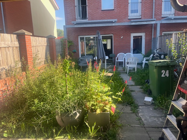 Verwilderde achtertuin met hoog onkruid, losse stoelen en een container vóór aanvang van de werkzaamheden