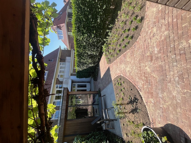Overzicht van een tuin met gebogen klinkerpaden, een rond plantvak en een houten pergola
