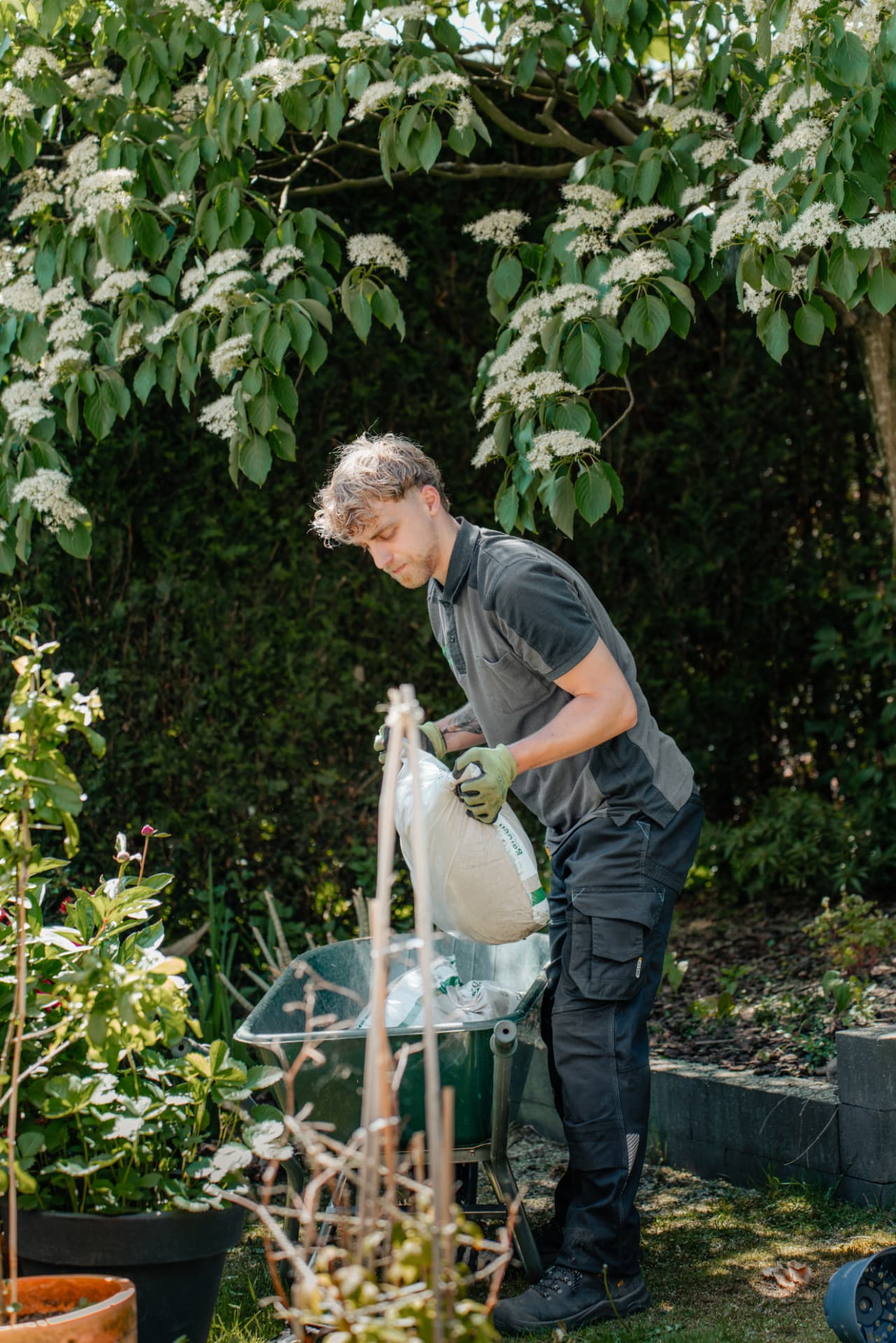 Jonas tilt een zak grond in een kruiwagen onder een bloeiende boom